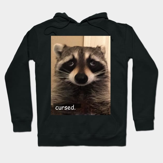 cursed Hoodie by bucketthetrashpanda